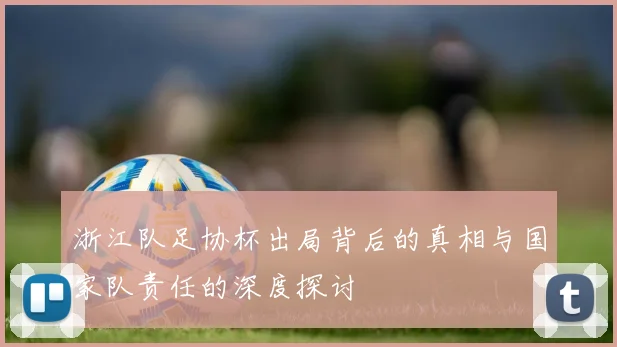 浙江队足协杯出局背后的真相与国家队责任的深度探讨